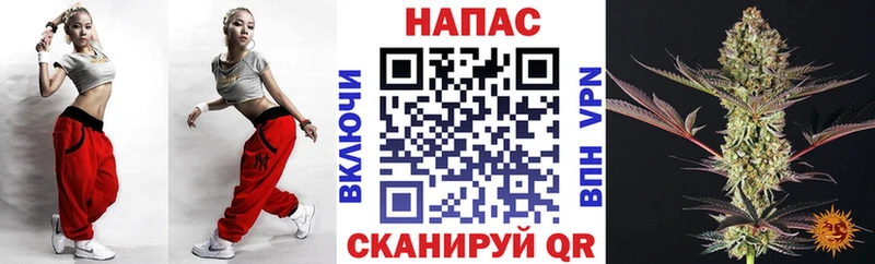Конопля сатива  Купить  Строитель 